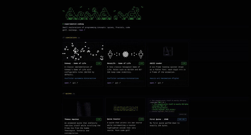 Aperçu du projet Experimental Coding
